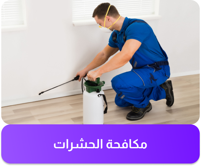 خدمة مكافحة الحشرات
