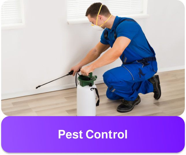 Pest Control Service